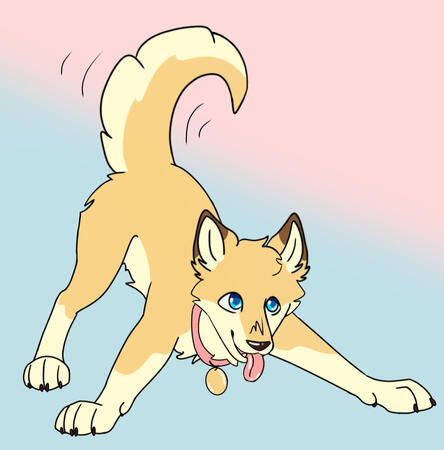 flat color $25